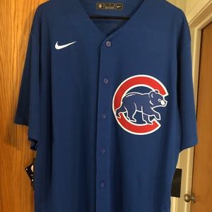 Chicago Cubs Nike Anthony Rizzo #44 Jersey